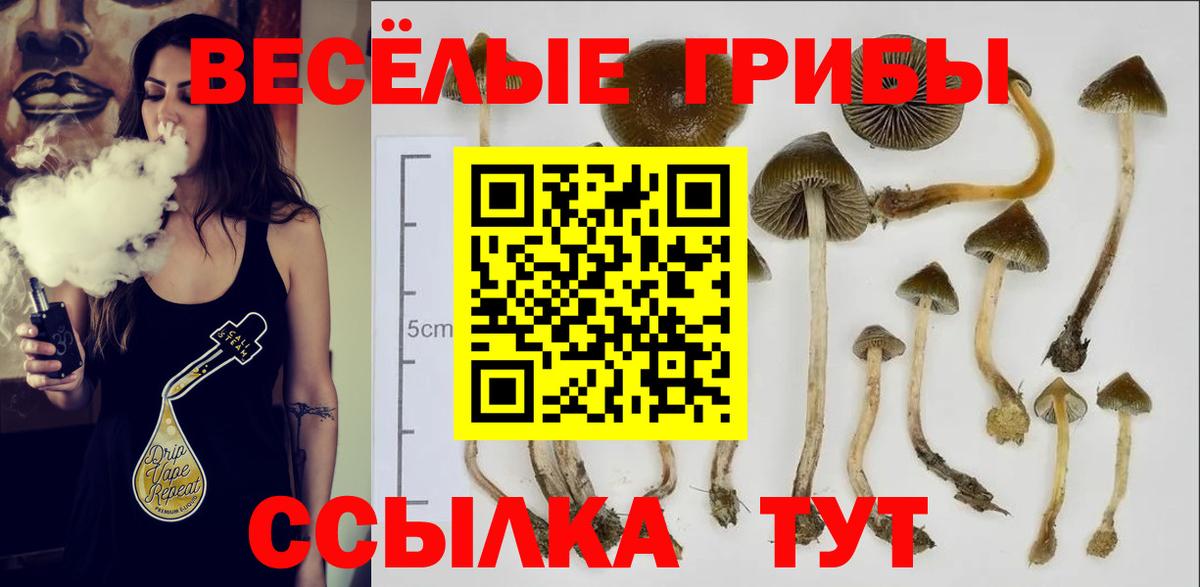 Галлюциногенные грибы Cubensis  Вход с VPN  Ивантеевка  Псилоцибиновые грибы мухоморы 