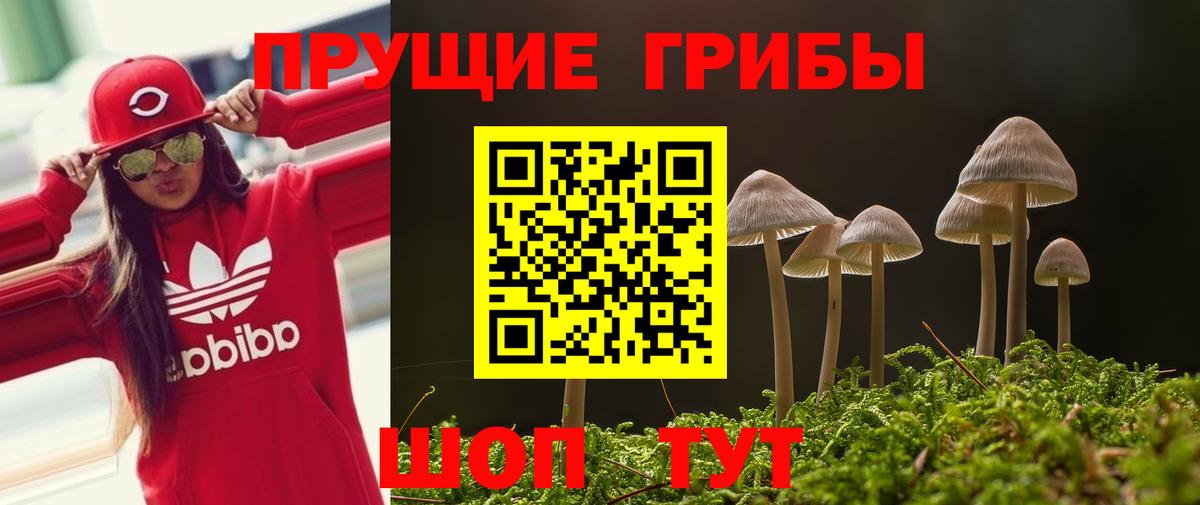 Галлюциногенные грибы ЛСД Ивантеевка